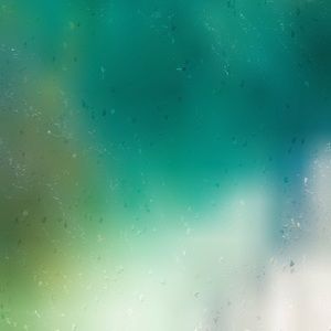 Meet your Posher, Sofia